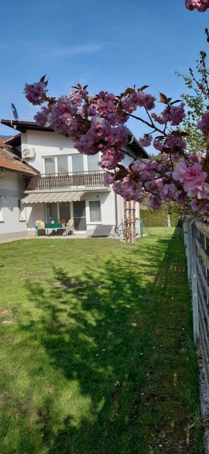 Apartmaji Mojca Križe 외부 사진