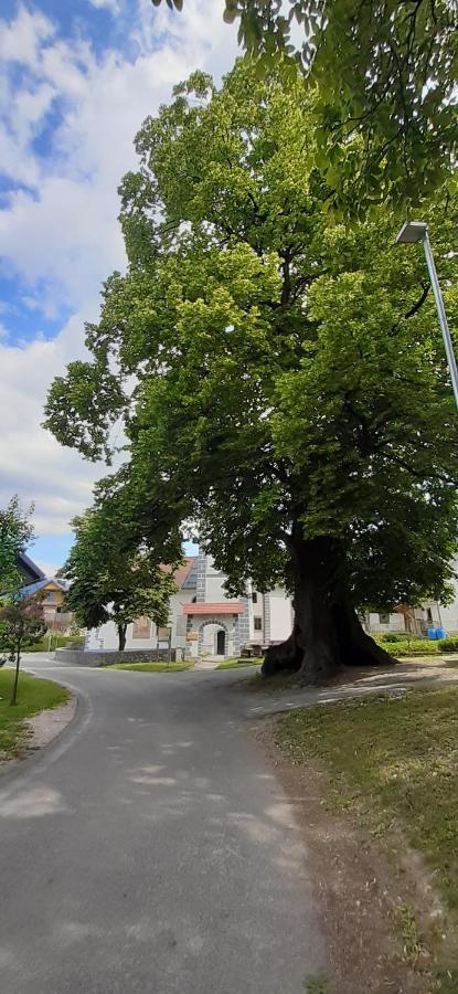 Apartmaji Mojca Križe 외부 사진