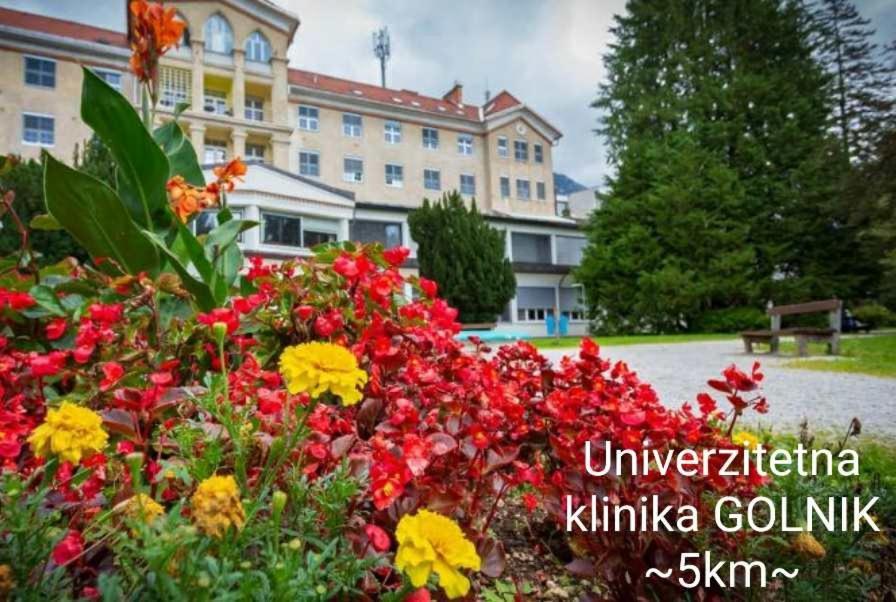 Apartmaji Mojca Križe 외부 사진