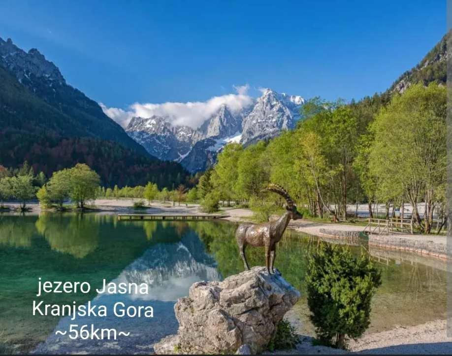 Apartmaji Mojca Križe 외부 사진